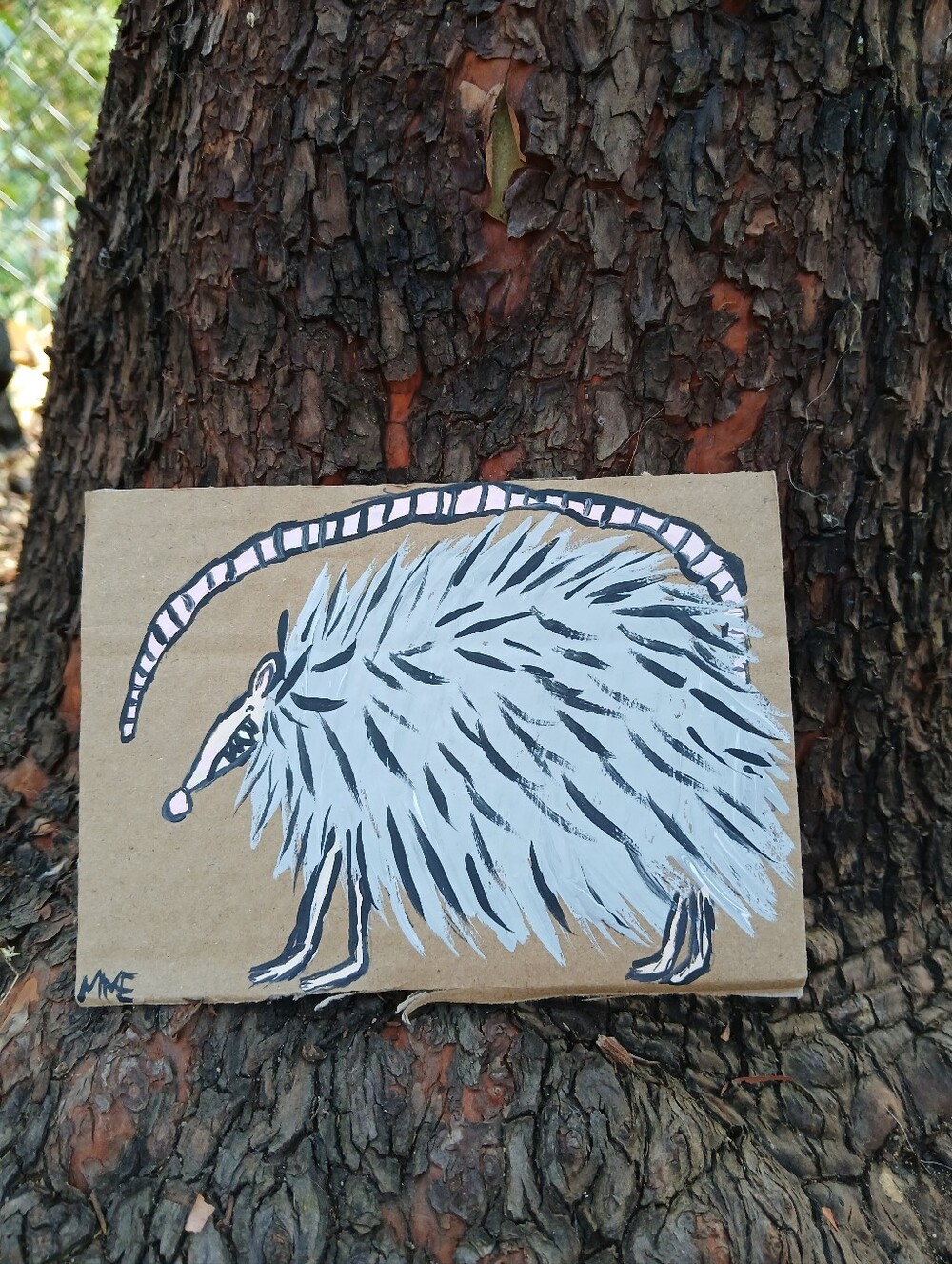 Mini Possum Painting  On Cardboard